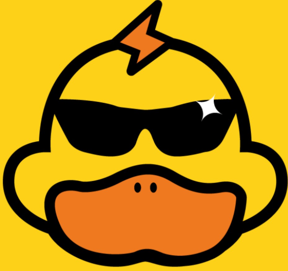 快鸭vp加速器官网